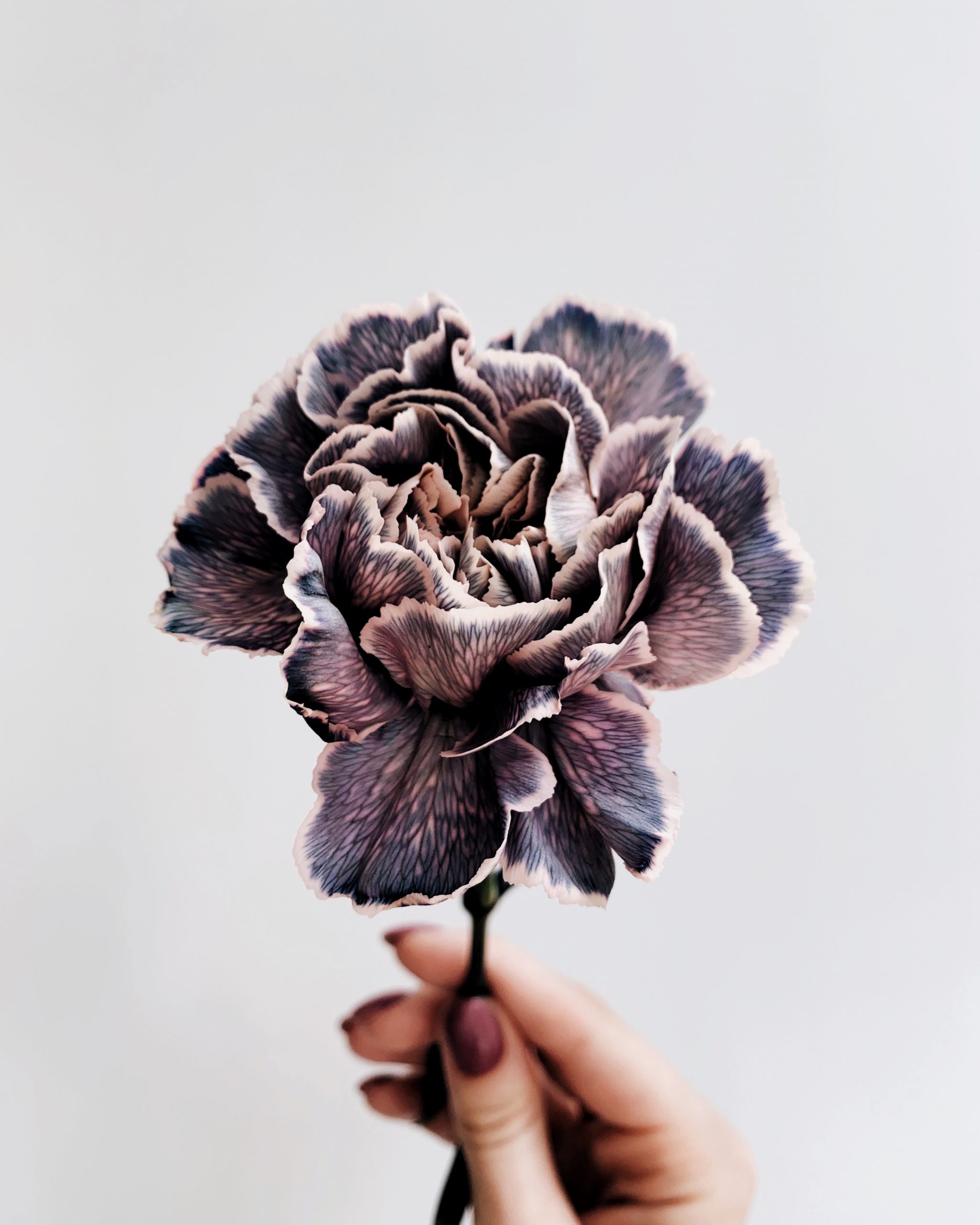 irene-kredenets-HksMtKpCuoI-unsplash