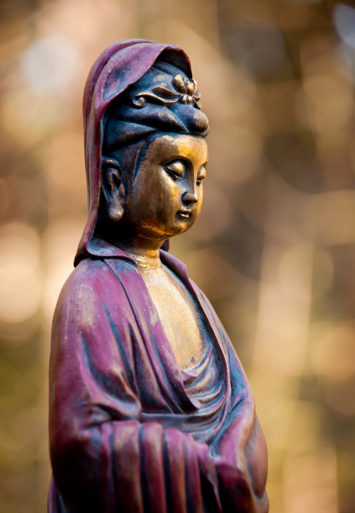 quan yin PP